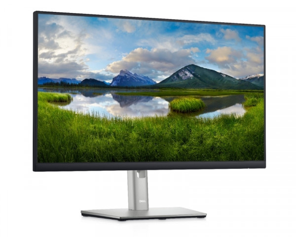 DELL 23.8'' P2422HE USB-C Profesional IPS monitor