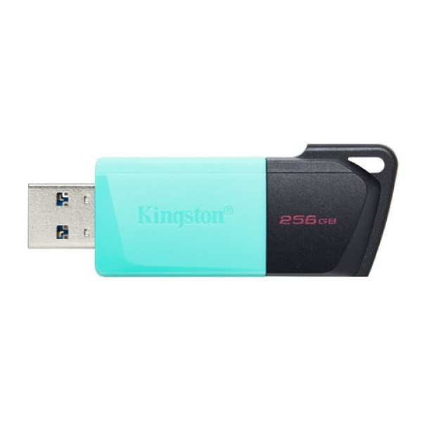 KINGSTON 256GB USB3.2 Gen1 DataTraveler Exodia M DTXM256GB